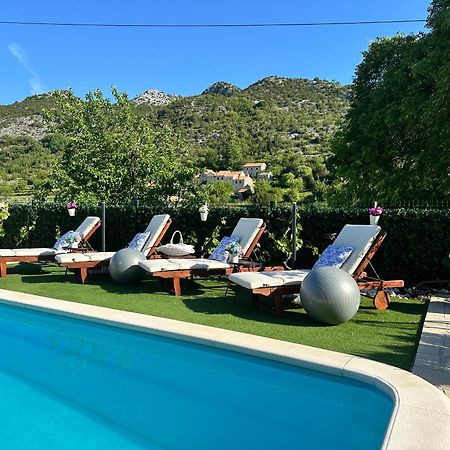 Villa Ivona With Swimming Pool And Jacuzzi Oslje エクステリア 写真