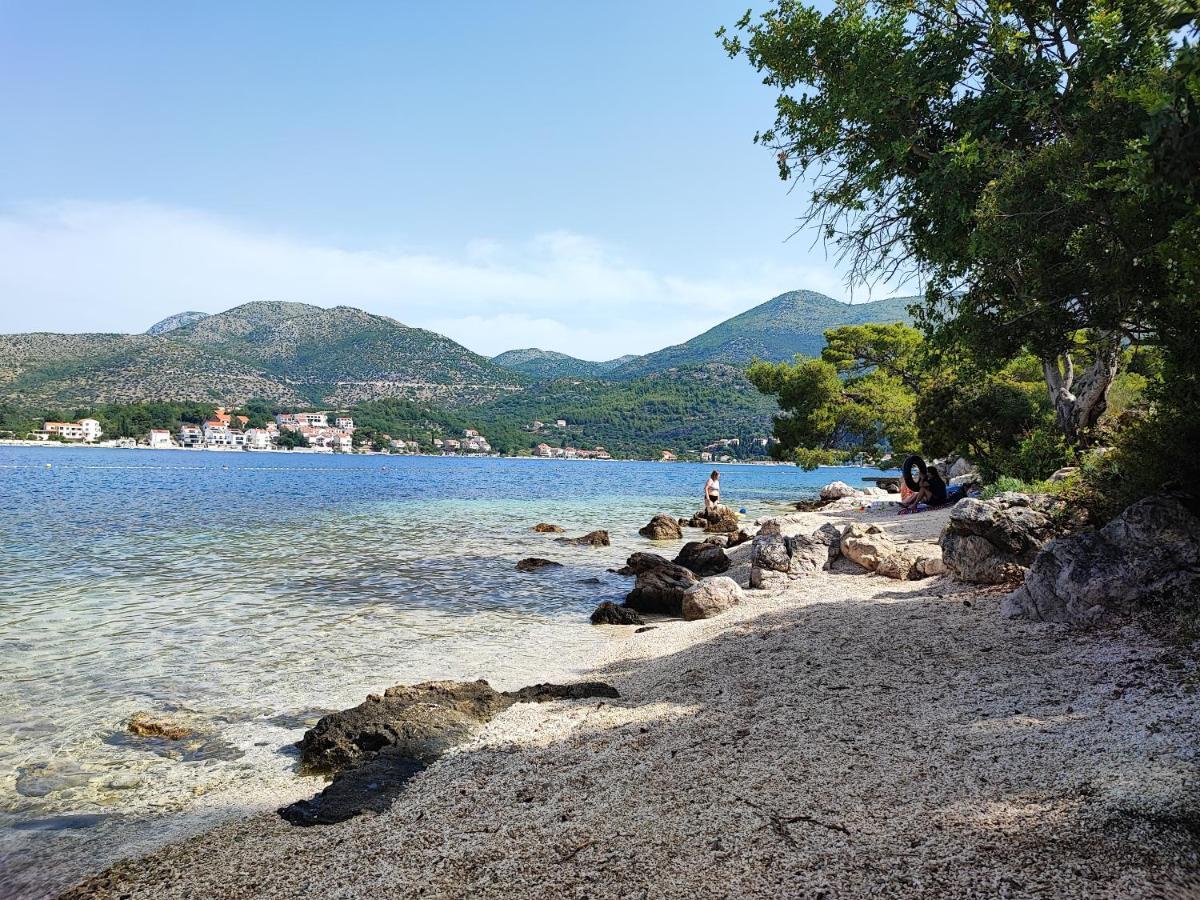 Villa Ivona With Swimming Pool And Jacuzzi Oslje エクステリア 写真